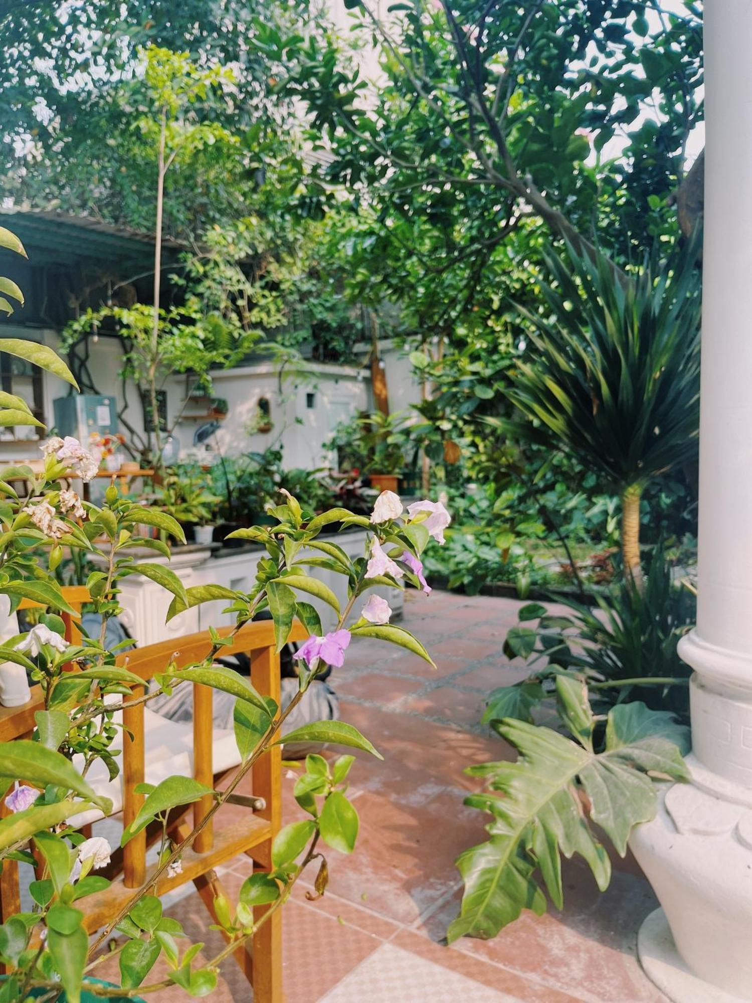 1.Home Hanoi Exterior foto